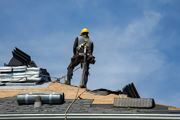 Professional Roof Repair technician working in Ayr, ND